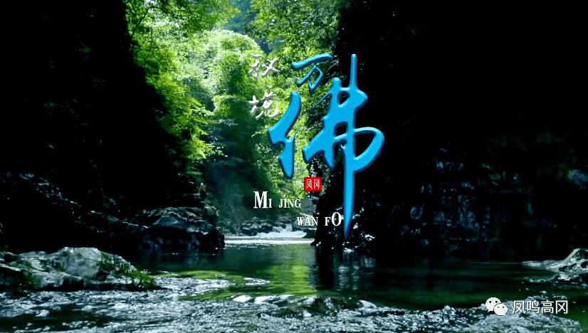 虫虫助手下载